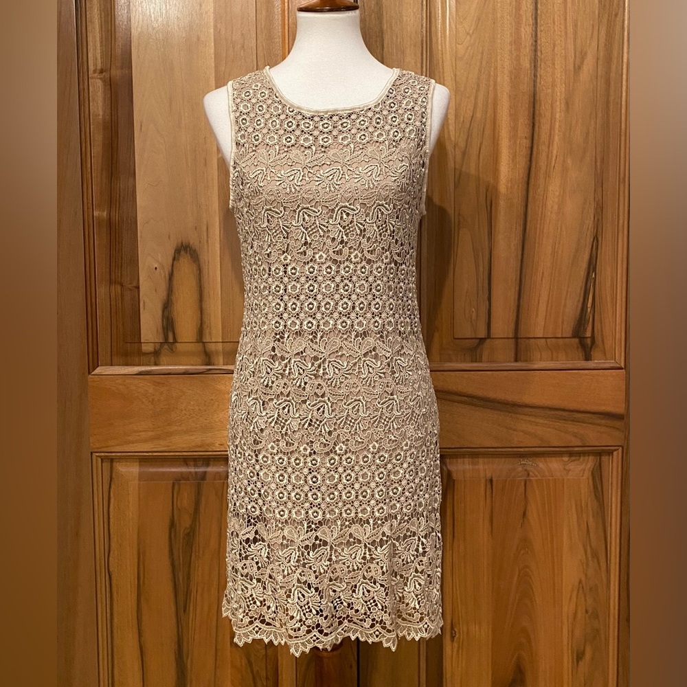 Vintage - Fanny Fashion - Mocha-Colored Shimmering Stretch Lace Minidress, EUC L